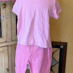 Gap  Pants and 2 tops Photo 0