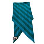 Charlie Paige NWT,  Striped Scarf Foulard Raye, Teal and Green Photo 7