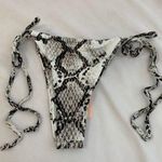 Chloe Rose  Dream On Snake Print Bikini Bottom Photo 0
