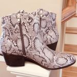 Rampage Boots Snakeskin Look Booties New In Box Womens 9.5 Photo 0