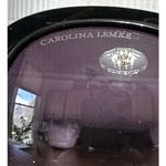 Carolina Lemke Sunglasses Oversized Black Frame Pink Arm Fashion Eyewear Photo 1