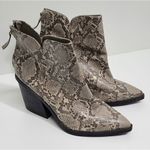 14th & Union 14th &‎ Union Snakeskin Pattern Pointed Toe Ankle Boots/ Block Heel Size 8.5 Photo 3