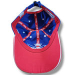 Chase Authentics Dale Earnhardt Jr 8 Hat OSFM NASCAR Budweiser Cap Embroidered Unisex Cap Photo 6