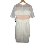 JAX BLACK LABEL Dress White Blush Mesh Illusion Sheath Midi Cocktail Size 6 NWT Photo 1