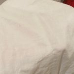 ZARA White Lace Chemise Photo 4