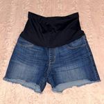 Just USA size 29 maternity Jean shorts Photo 0