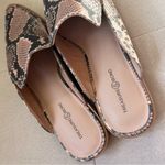 Treasure & Bond  Snake Print Slide On Mules Photo 3