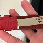Fossil Belt Photo 3