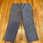 Hilary Radley Hilary‎ Radley dress pants size 8 Photo 0