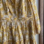 Shoshanna Costas Eyelet-Embroidered Cotton Mini Dress Photo 4