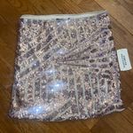 Forever 21 Sequin Skirt Photo 0
