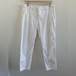 Frank & Eileen  White Wicklow Italian Chino Pant Size 8 *FLAW* Photo 2