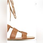 JustFab Reeve Gladiator Sandal by Scene 8.5 Photo 2