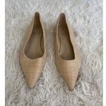 Sam Edelman  Woven Straw Pointed Toe Ballet Flats Beige Shoes Size 9 Timeless Photo 1