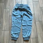 BCBGMAXAZRIA  Teal Textured Pants Photo 3