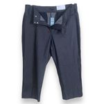 Ann Taylor  Factory Petite Crop Pants, Mid-Rise, Navy Blue Capris, Women’s 16P Photo 1