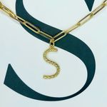 NEW Sterling Forever 14K Goldplated Initial S Pendant Necklace Photo 5