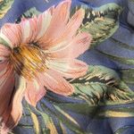 Julia Jordan Sweetheart Floral Puff Sleeve Fit & Flare Dress Size 6 NWT $119 Photo 11