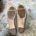Eileen Fisher Size 5.5 Grey Suede Studded Ballet Flat Round Toe Vero Cuoio Photo 9