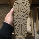 UGG  Classic Short Boots Photo 4