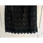 Anthropology Champagne & Strawberry Black Lace Shift Dress Gold Chain Accent M Size M Photo 2