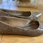Life Stride  8M Stylist Business Casual Snake-Print Pointed-Toe Ballet Flats Photo 2