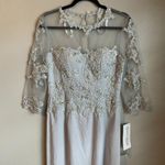 Cameron Blake Mother of the Bride Evening Formal Dress 115614 Platinum Sold Out Size 6 Photo 4