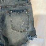 Distressed Tricot Denim Shorts Photo 5
