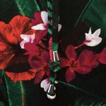 Peter Nygard FINAL MARKDOWN LADIES nygard top large Photo 4