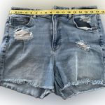 American Eagle outfitters Sz 14 denim curvy
high waist distressed shorts Photo 2