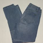 International Concepts, Boyfriend High Rise Leopard Print Accents, Women Size 4P Blue Photo 3