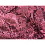 Venus  Embellished Burgundy Top Photo 2