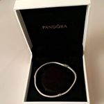 Pandora Charm Bracelet Photo 0