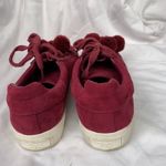 Circus by Sam Edelman Sam Edelman Circus Carmela Sneaker in Cranberry Photo 9