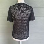 ZARA Trafaluc Sheer Lace Short Sleeve Top Photo 4