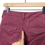 mother the shaker prep fray killing time maroon rose gold stripe trousers pants Red Size 24 Photo 5