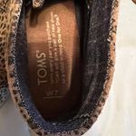 Toms  Photo 2