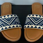 Haute Hippie Blue Slides Photo 0