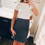 Banana Republic Gray Skirt Photo 0