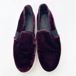 Vince  | Blair Velvet Slip-on Sneakers Shoes in Oxblood Burgundy Sz. 6.5 Photo 1