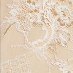 WAYF  Gwen Lace Dress Size Photo 11