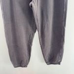 Aerie  x Wicked Big Chill Jogger Smoked Grey XL Photo 6
