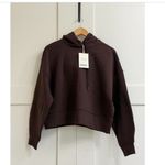 Everlane Cropped Luxe Fleece Hoodie in Dark Chocolate, Size Small Photo 5