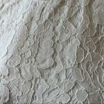 Elliatt  Cream Lace Tank, XS‎ Photo 1