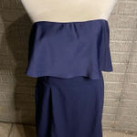 Naked Zebra Naked‎ Zebra Navy Blue Strapless Layered Bodice Solid Color Dress Size Large Photo 0