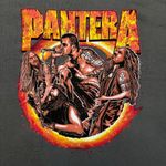 Urban Outfitters Pantera Band Portrait Flames T-Shirt size Large Photo 1