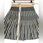 Anthropologie Viola Women’s Wool Blend Trumpet Fit and Flare Striped Midi Skirt Photo 2