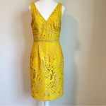 Anthropologie Maeve Gardenia Lace Column Sheath Dress Yellow Gold Size 6 Photo 3