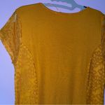 Kate & Mallory  S Top Mustard Soft Jersey Knit Lace Crew Neck Photo 5