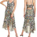 Parker New York NWT Melody Floral Print Back Cut Out Dress Sleeveless Hi Low New Photo 1